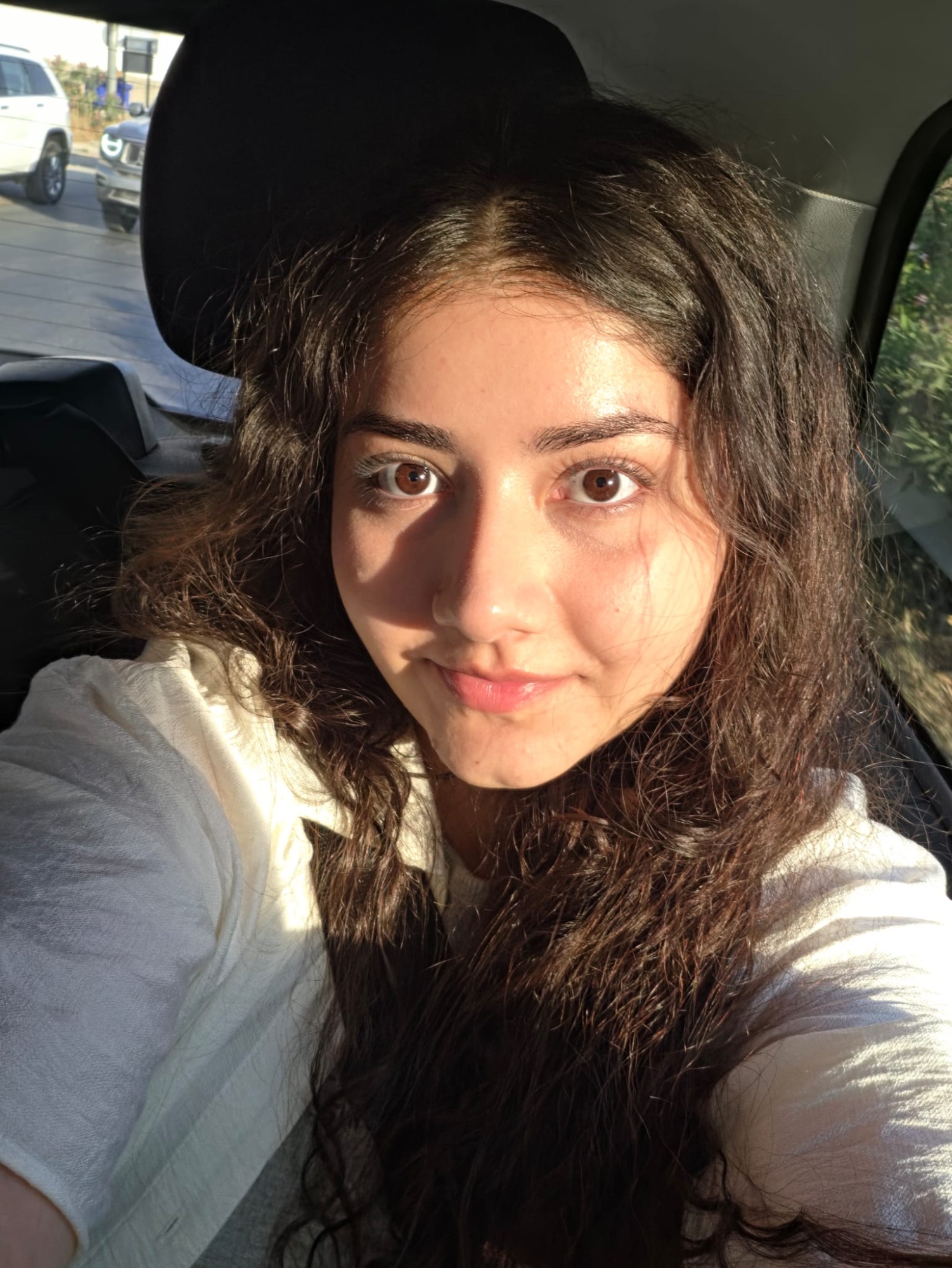 Aysun Türkmen